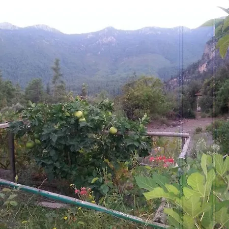 Serender Konaklama * Ovacık