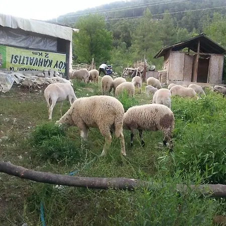 Landhaus Serender Konaklama
