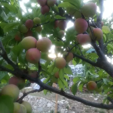 Serender Konaklama Landhaus Ovacık