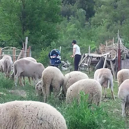 Serender Konaklama